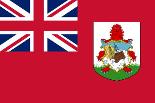 Bermudas F