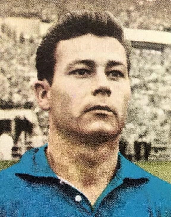 Just Fontaine, selección francesa, Copa Mundial de la FIFA 1958